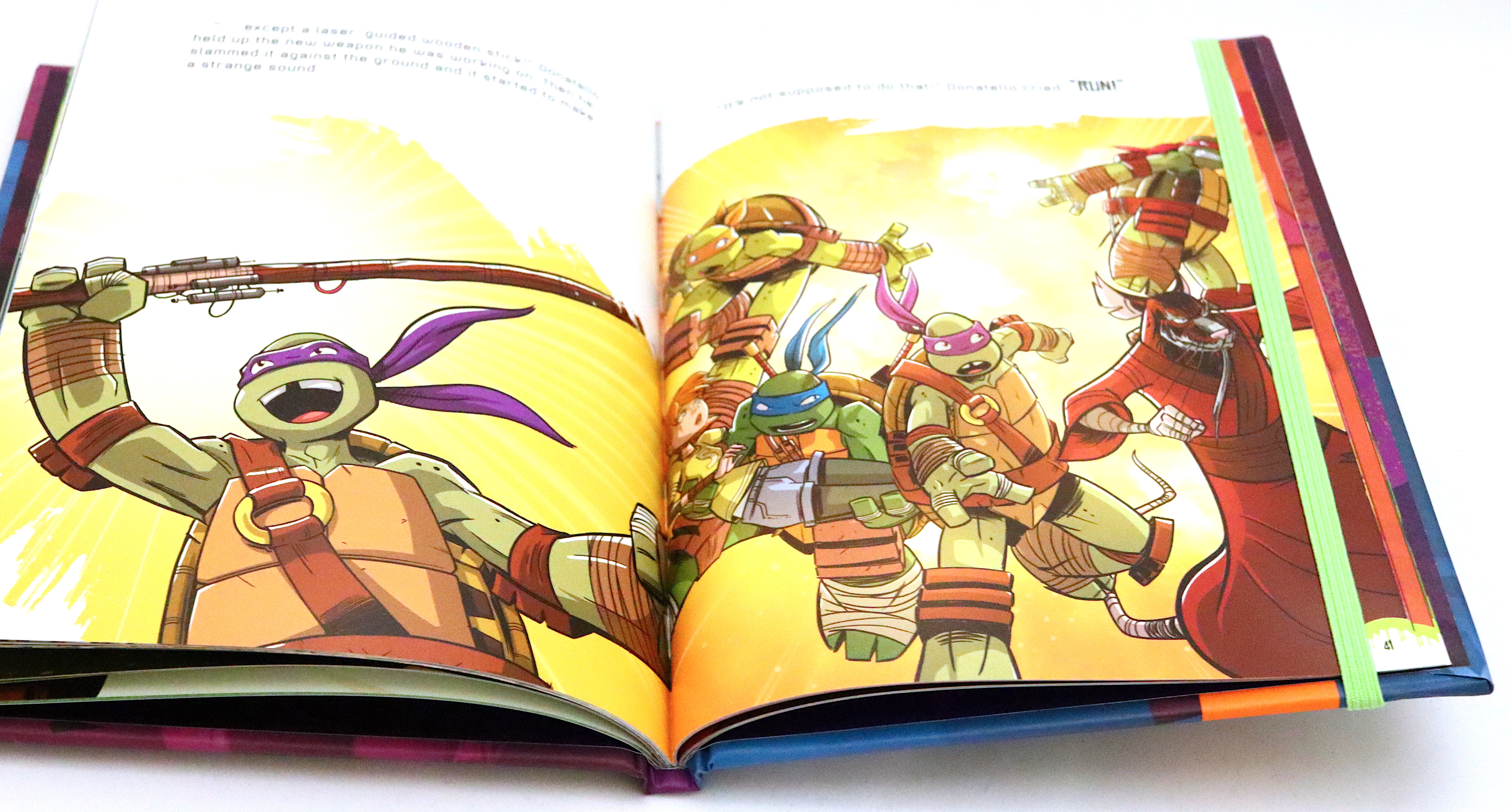 Teenage Mutant Ninja Turtles: The Pop-Up Book